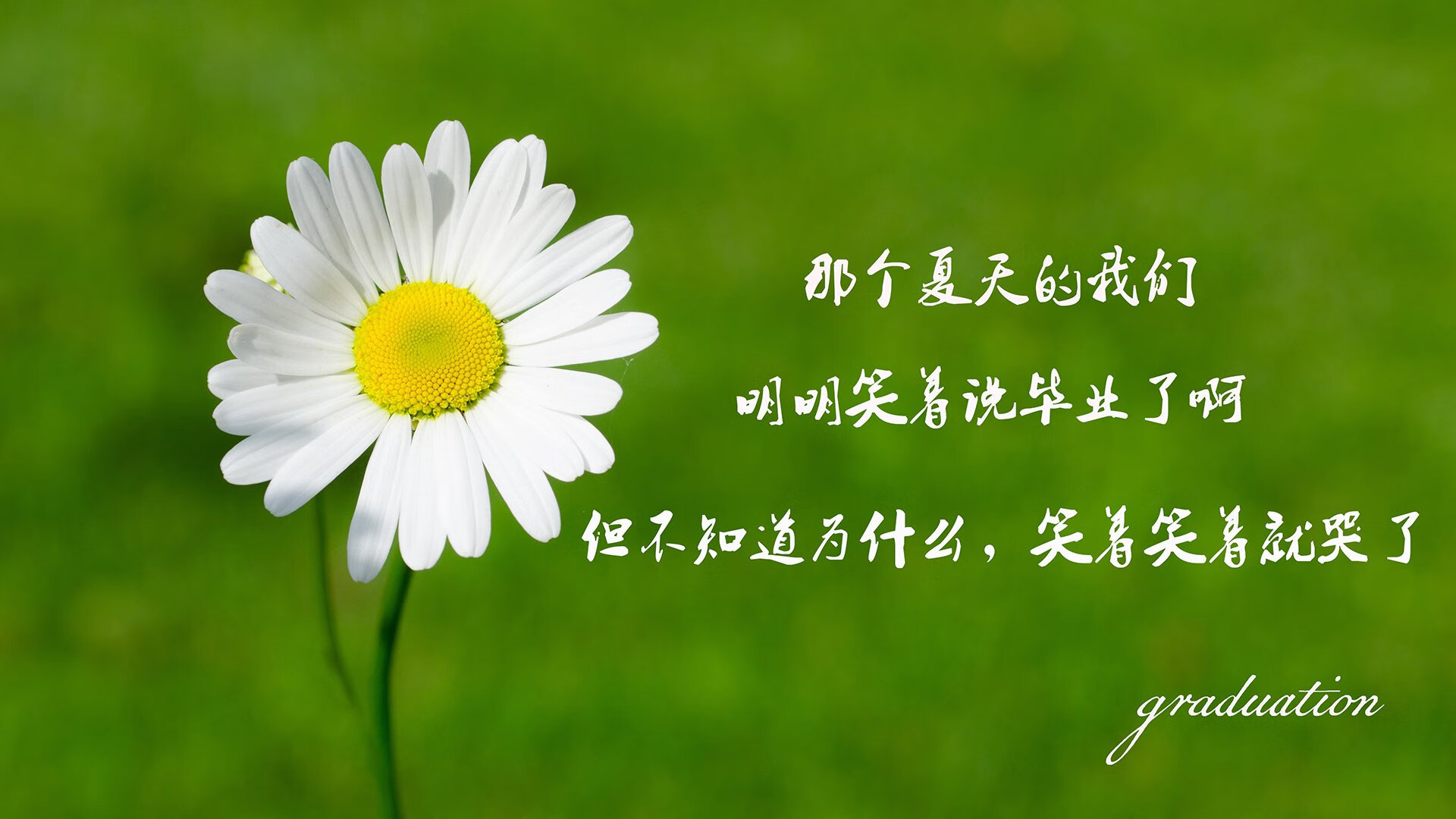 “球迷见证：最火爆的现场应援瞬间”，篮球比赛应援
